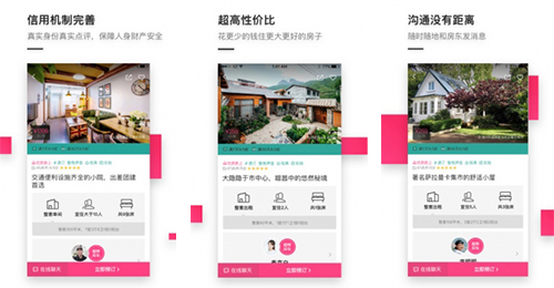 小猪app开发