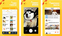 安菲科技APP开发-铃铛宠物app点评 铃铛宠物app如何