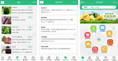 安菲科技APP开发-开发农业电商小程序能带来什么