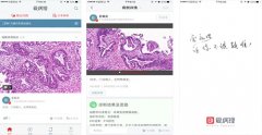 安菲科技APP开发-爱病理APP点评 爱病理APP好不好