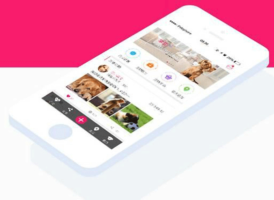 宠物app开发定制能让宠物主看到新世界--重庆app公司安菲科技