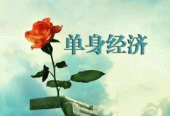 安菲科技APP开发-重庆APP软件开发可以从单身经济入手