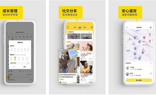 宠物app开发专业的狗狗饲养以及社交平台-app开发公司重庆安菲科技