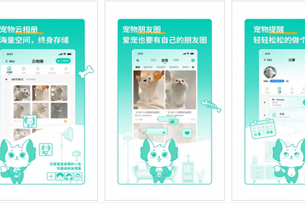 宠物app开发帮助养宠用户记录自己宠物的日常--app开发公司重庆安菲科技