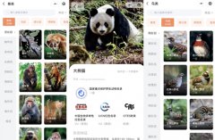 安菲科技APP开发-国家重点保护野生动物名录小程序评测了解动物保护