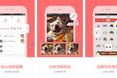 安菲科技APP开发-宠物秀app点评 宠物秀app好不好