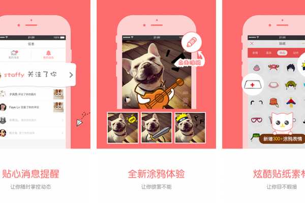 宠物社交app开发获取养宠知识交流养宠心得--app开发公司重庆安菲科技