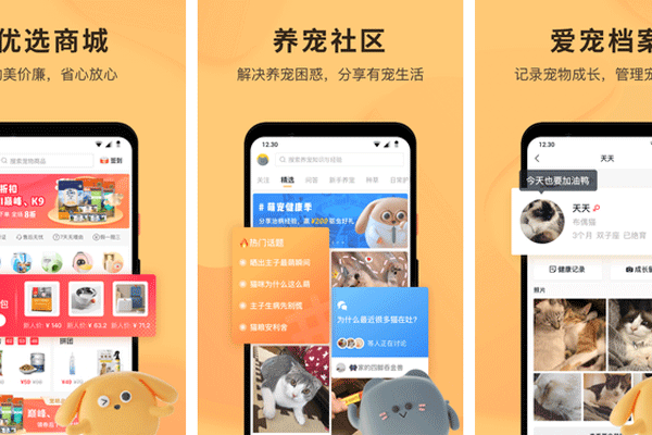宠物app软件开发解决养宠问题分享养宠经验--重庆做app开发安菲科技