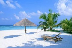 安菲科技APP开发-旅游攻略APP开发帮助用户规划最佳旅行日程
