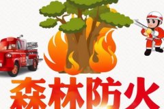 安菲科技APP开发-森林防火APP开发保护森林资源和人民生命财产安全
