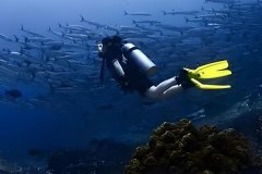 安菲科技APP开发-潜水装备商城app开发为潜水爱好者提供便捷安全可靠的购物平台