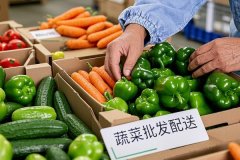 安菲科技APP开发-蔬菜批发配送App开发：功能规划详解与行业解决方案